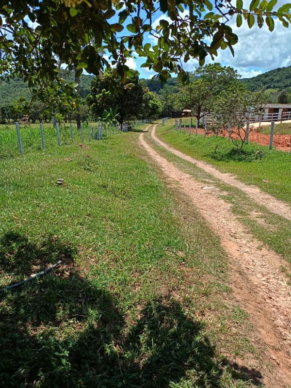 Fazenda, Ravena, 4 Quartos, 4 Vagas, 1 Suíte