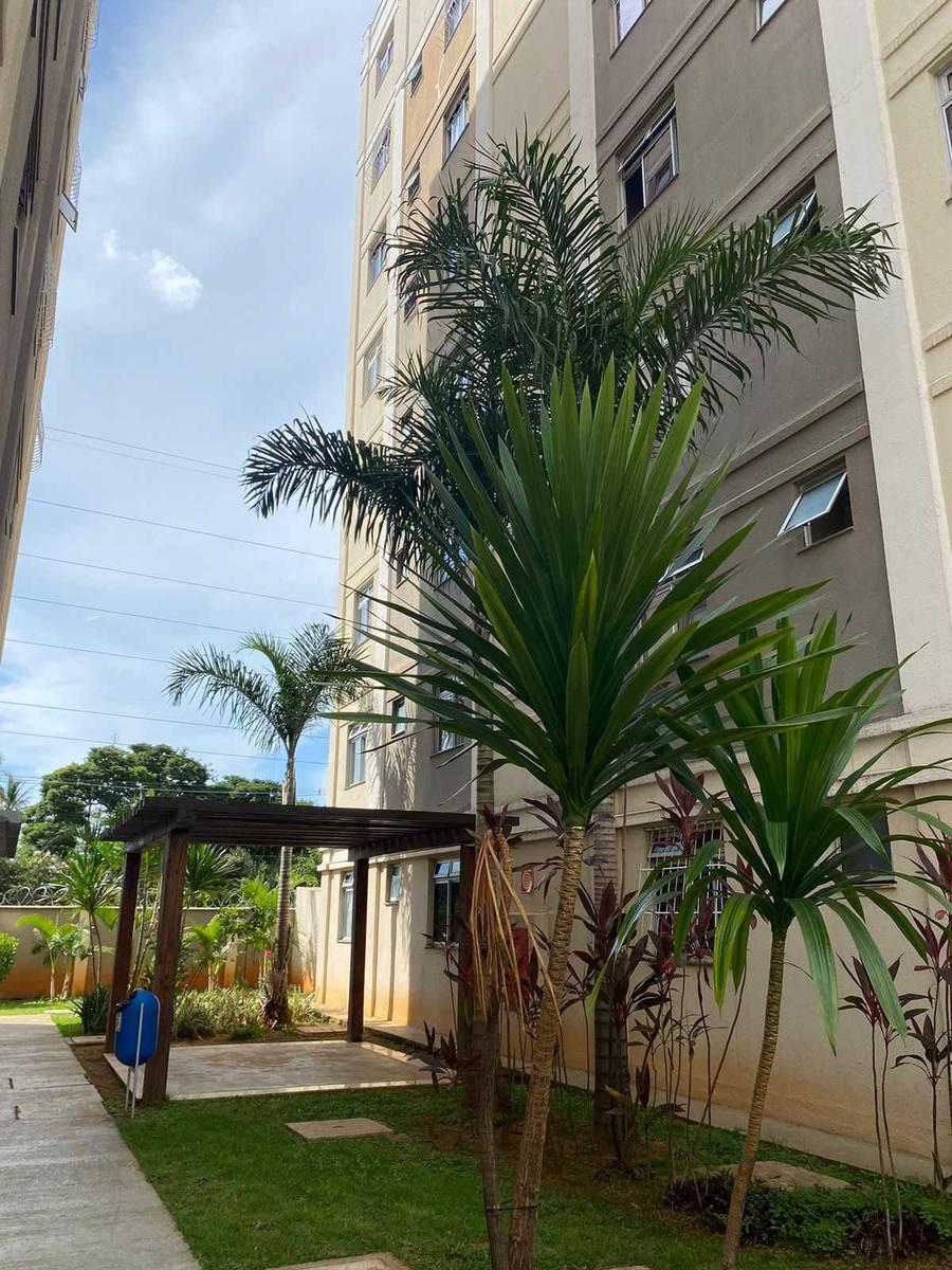 Apartamento, Pousada Del Rey (são Benedito), 2 Quartos, 1 Vaga
