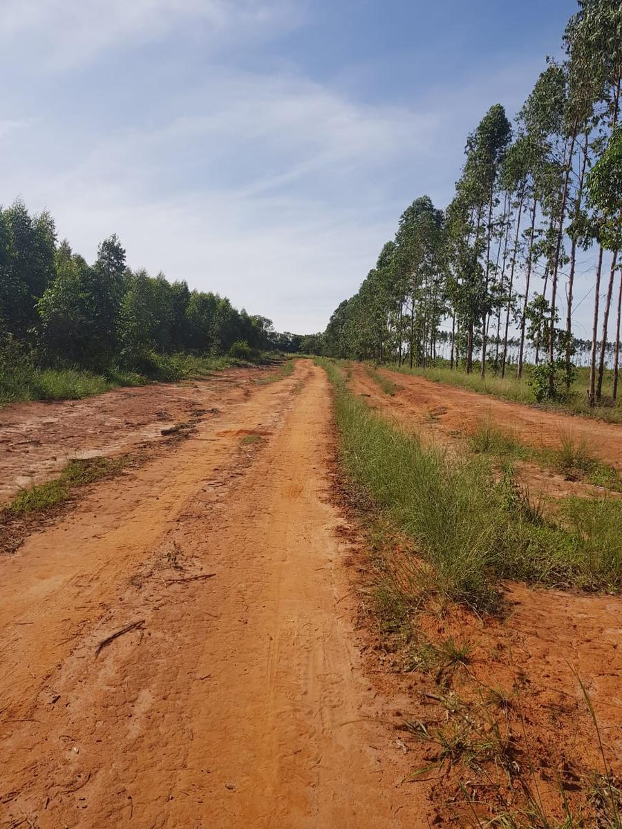 Fazenda, Centro