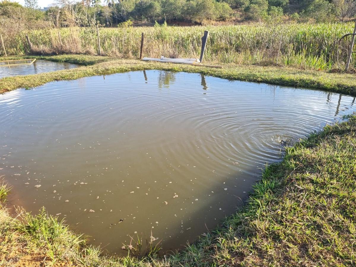Fazenda, Zona Rural, 3 Quartos, 0 Vaga