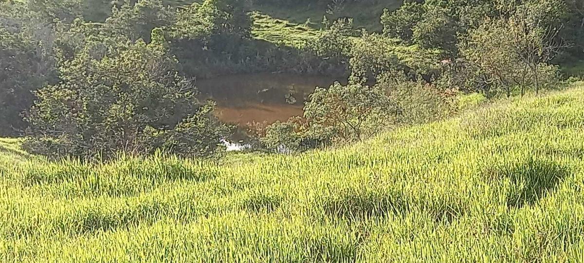 Fazenda, Zona Rural, 1 Quarto, 0 Vaga