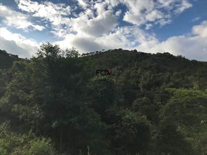 Lote, Nacional, 0 Quarto, 0 Vaga