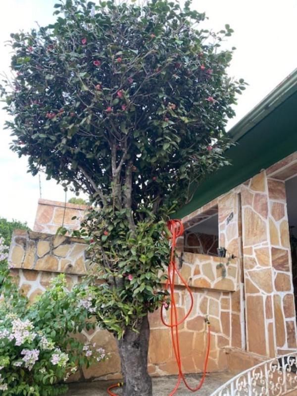 Casa, Santa Teresa, 4 Quartos, 2 Vagas, 2 Suítes