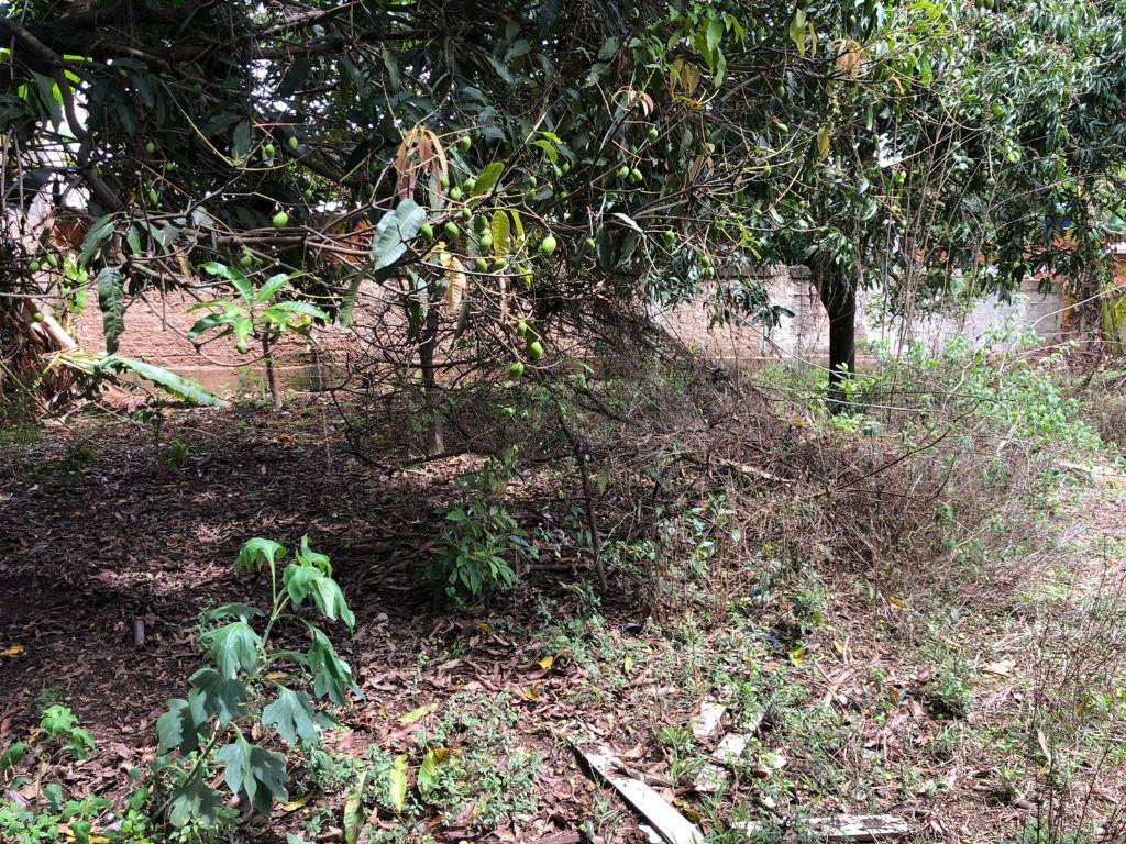 Lote, Santo Antônio (roça Grande), 0 Quarto, 0 Vaga