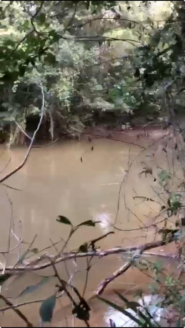 Fazenda, Zona Rural, 0 Quarto, 0 Vaga