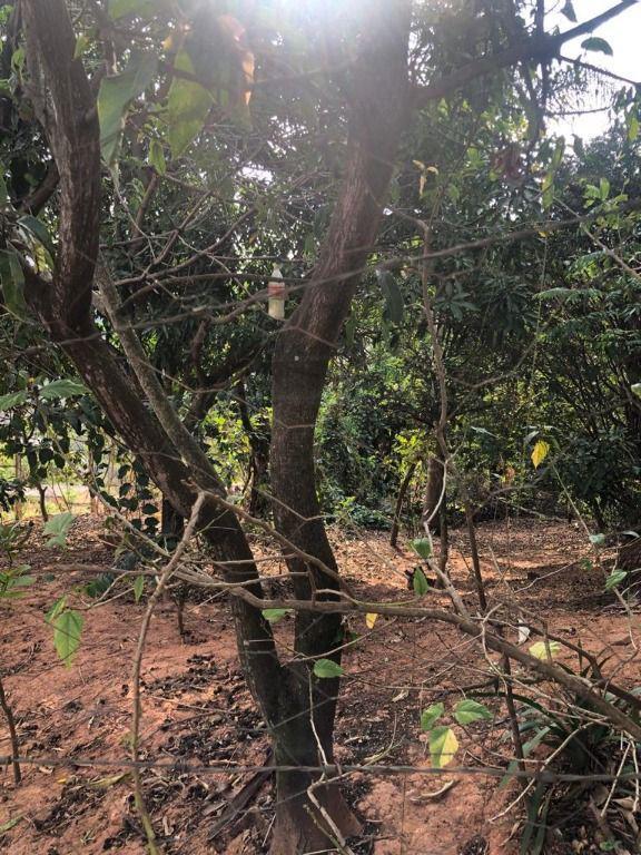 Lote, Rosário, 0 Quarto, 0 Vaga