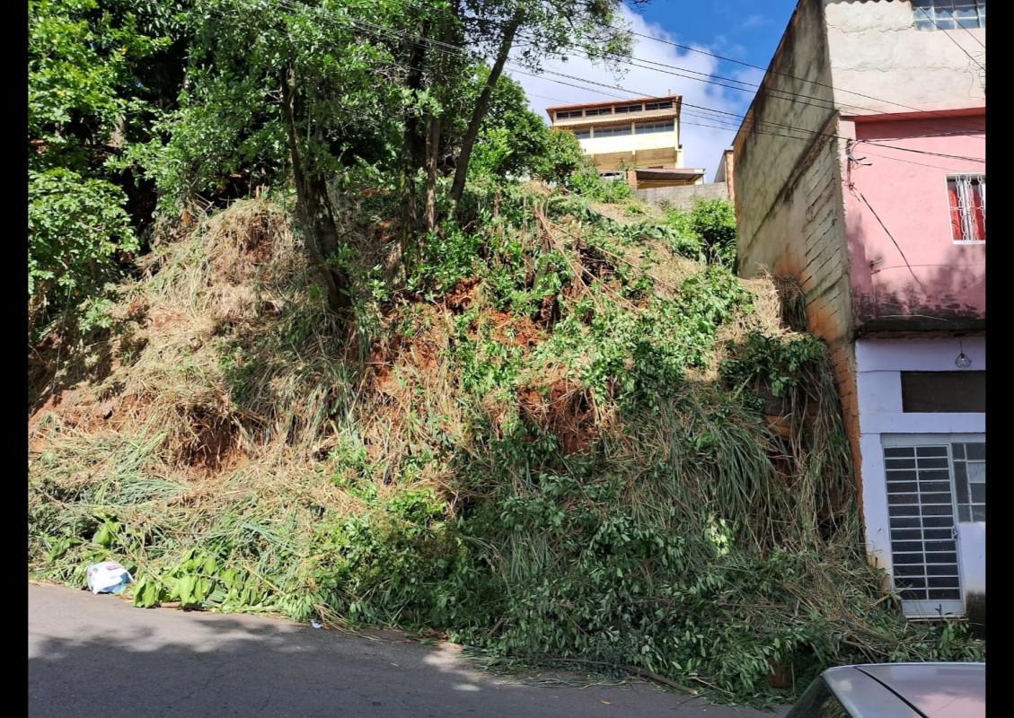 Lote, Riacho das Pedras, 0 Quarto, 0 Vaga