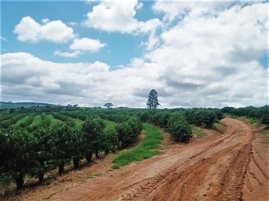 Fazenda, Zona Rural, 0 Quarto, 0 Vaga
