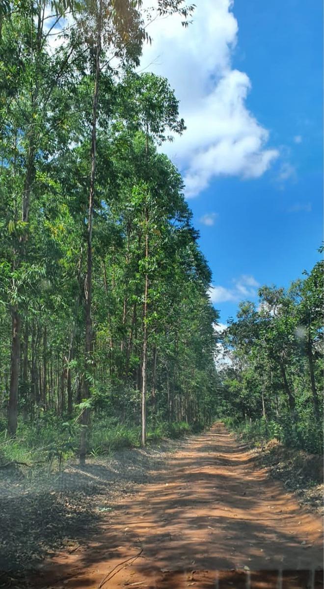 Fazenda, Zona Rural, 0 Quarto, 0 Vaga