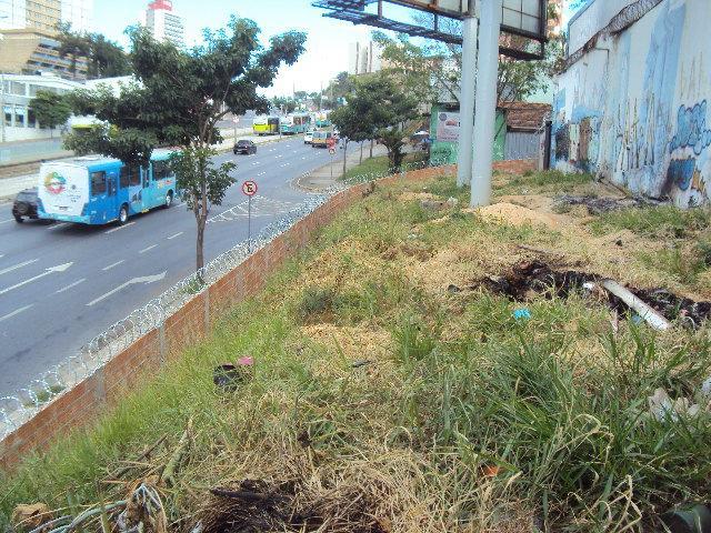 Lote, Aparecida
