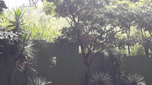 Lote, Chácara Cotia