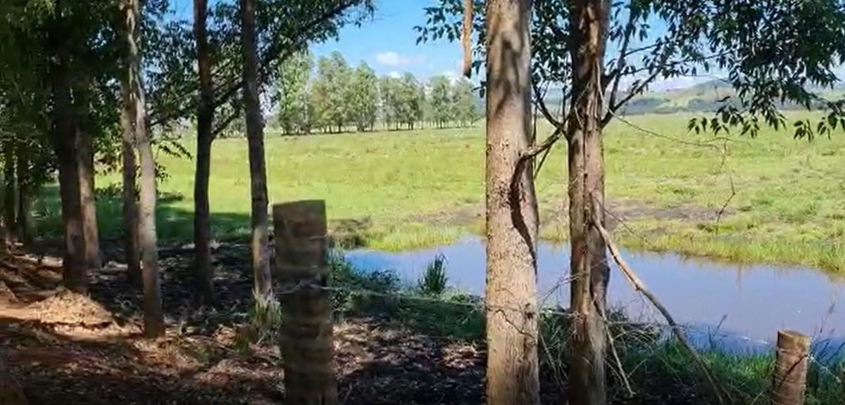 Fazenda, Centro, 0 Quarto, 0 Vaga