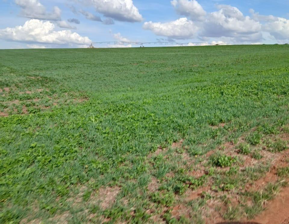 Fazenda, Zona Rural, 3 Quartos, 0 Vaga