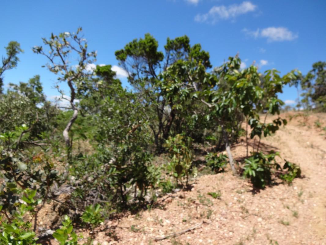 Fazenda, Zona Rural, 1 Quarto, 0 Vaga, 1 Suíte