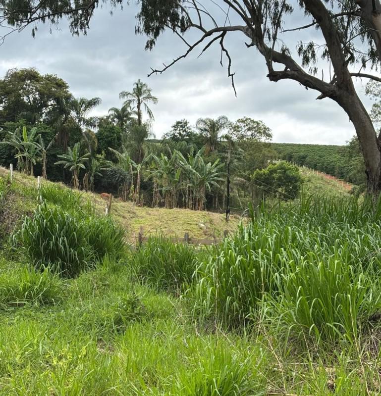 Fazenda, Zona Rural, 0 Quarto, 0 Vaga