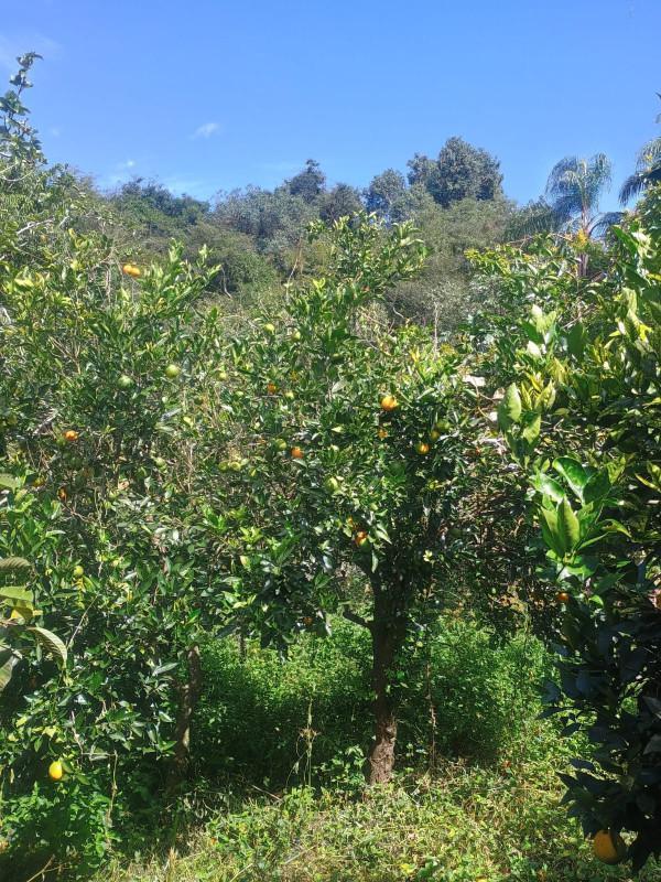 Fazenda, Zona Rural, 0 Quarto, 0 Vaga