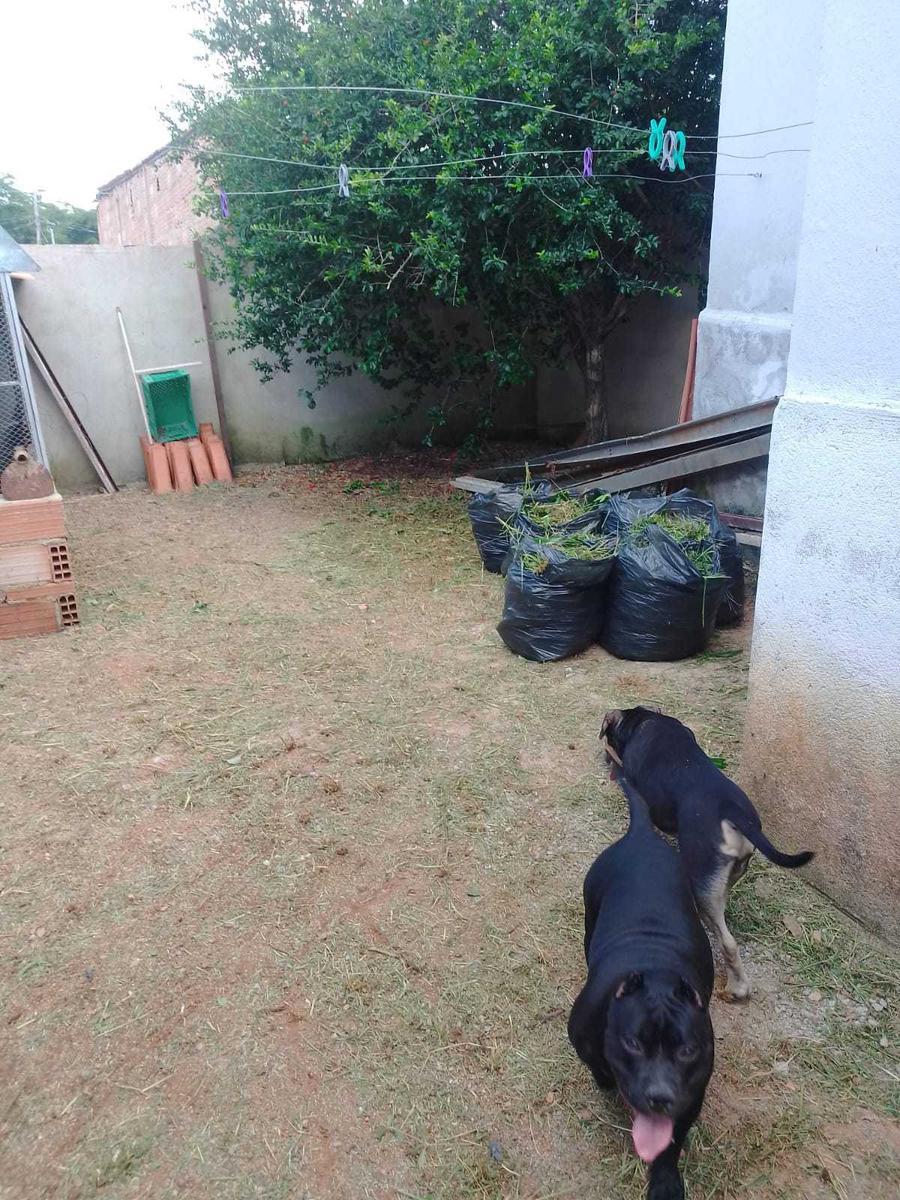 Casa, Moradas da Lapinha, 3 Quartos, 2 Vagas, 1 Suíte