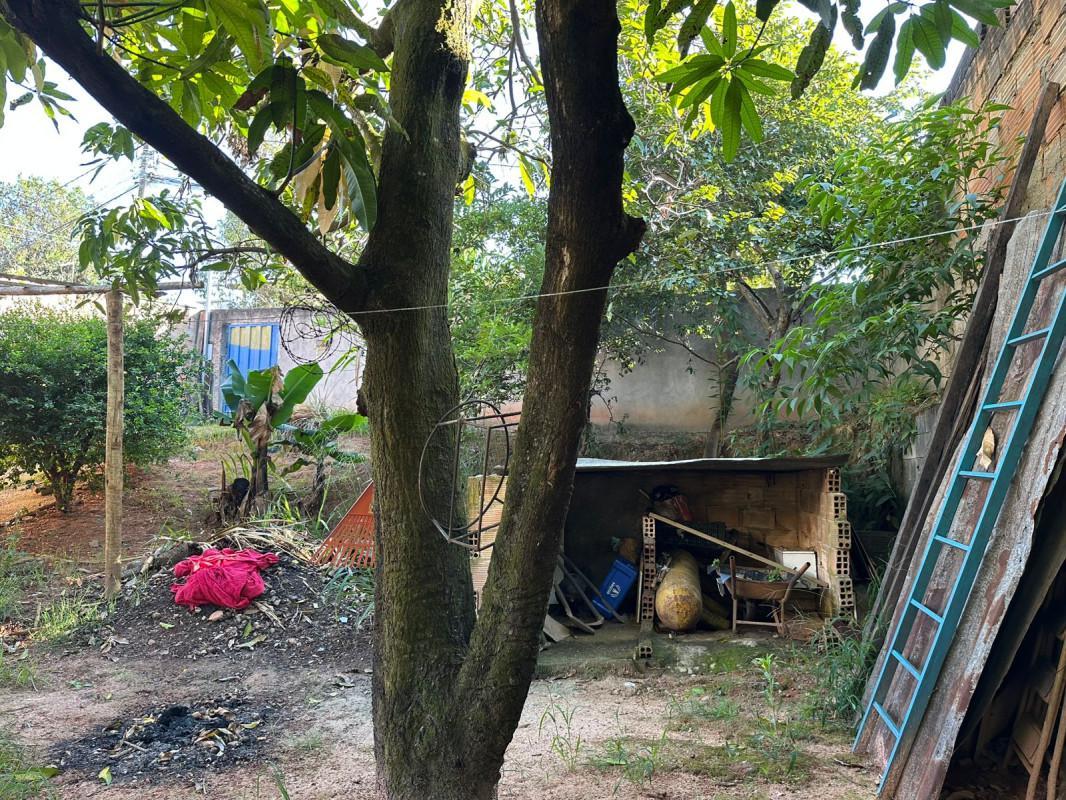 Lote, Dom Bosco, 0 Quarto, 0 Vaga