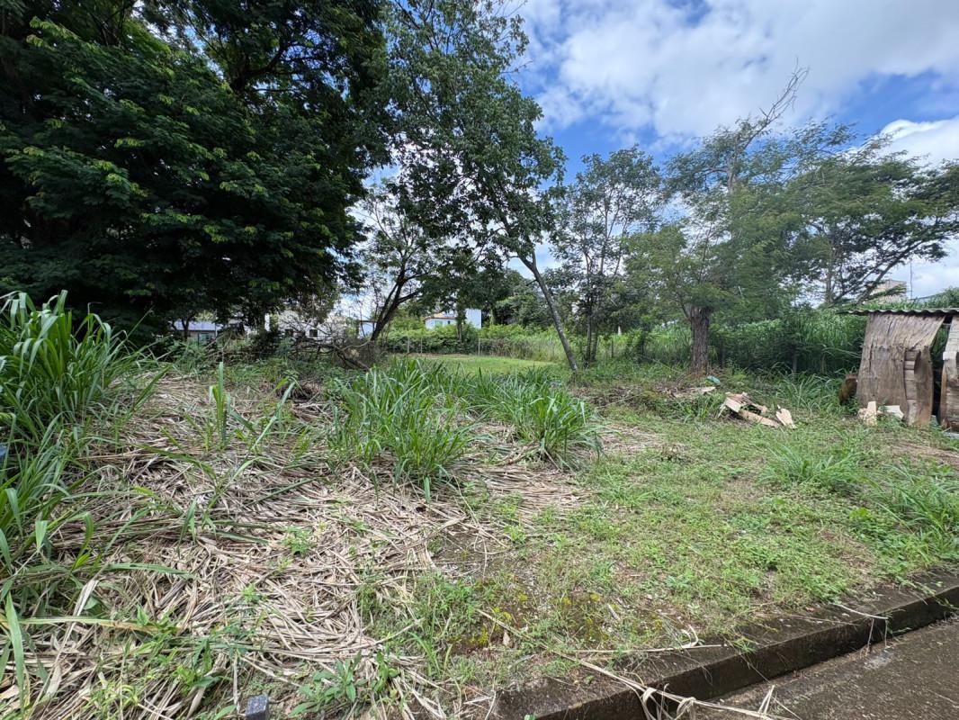 Lote, Angicos, 0 Quarto, 0 Vaga