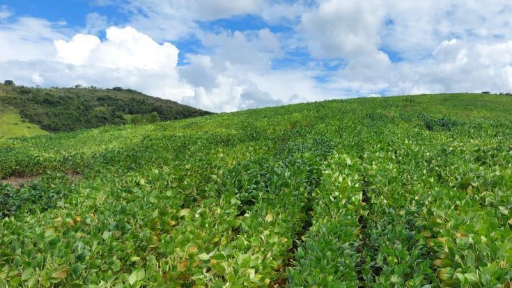 Fazenda, Zona Rural, 3 Quartos, 0 Vaga