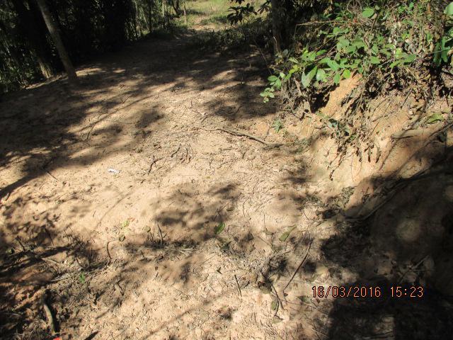 Lote, Centro