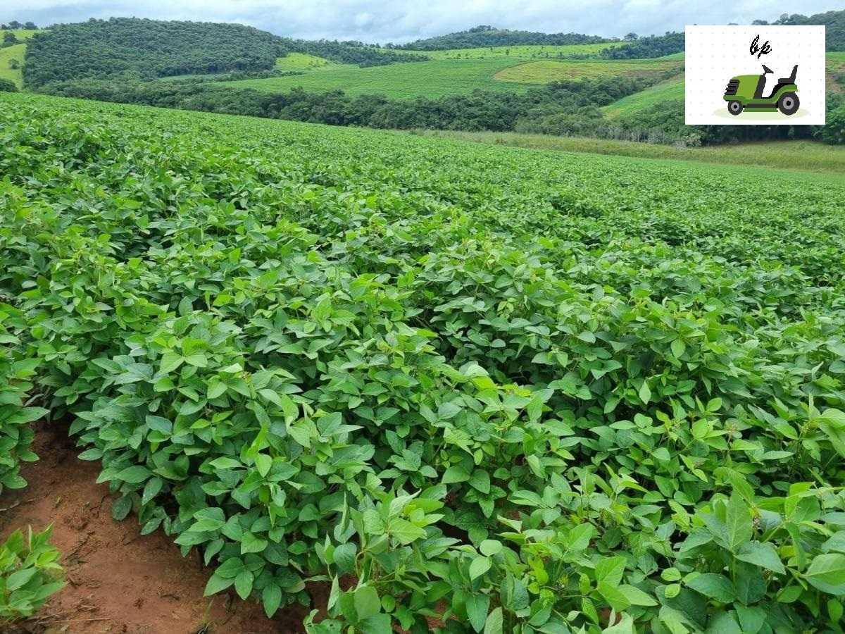 Fazenda, Zona Rural, 3 Quartos, 0 Vaga
