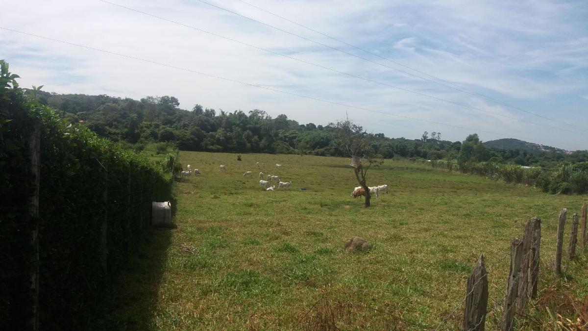 Lote, Saraiva, 0 Quarto, 0 Vaga