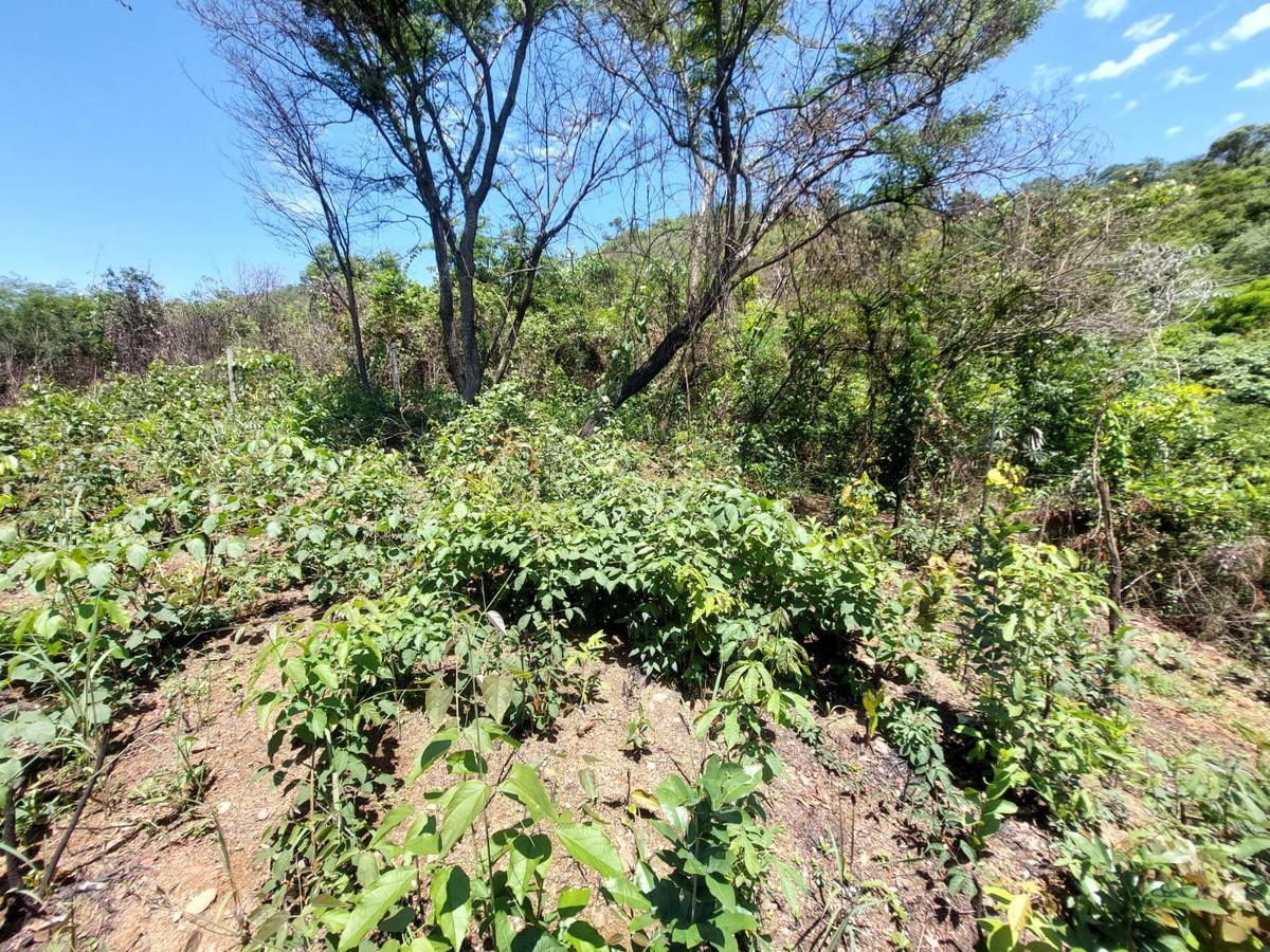 Casa, Santana, 2 Quartos, 2 Vagas