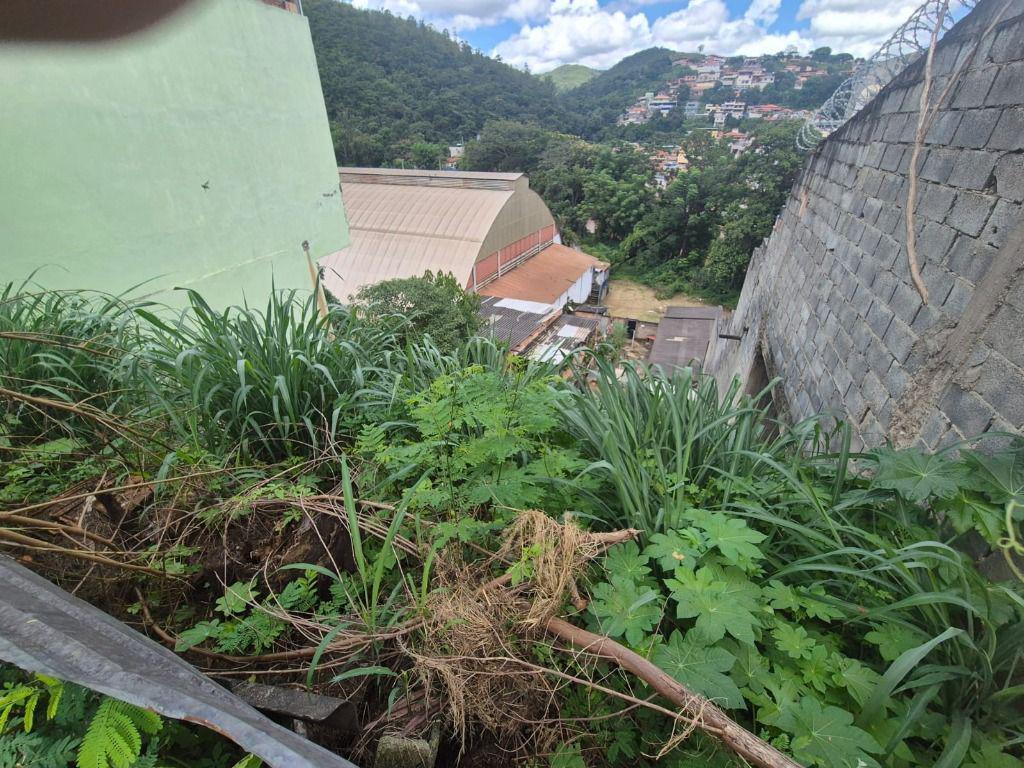 Lote, Vila Santa Cruz, 0 Quarto, 0 Vaga