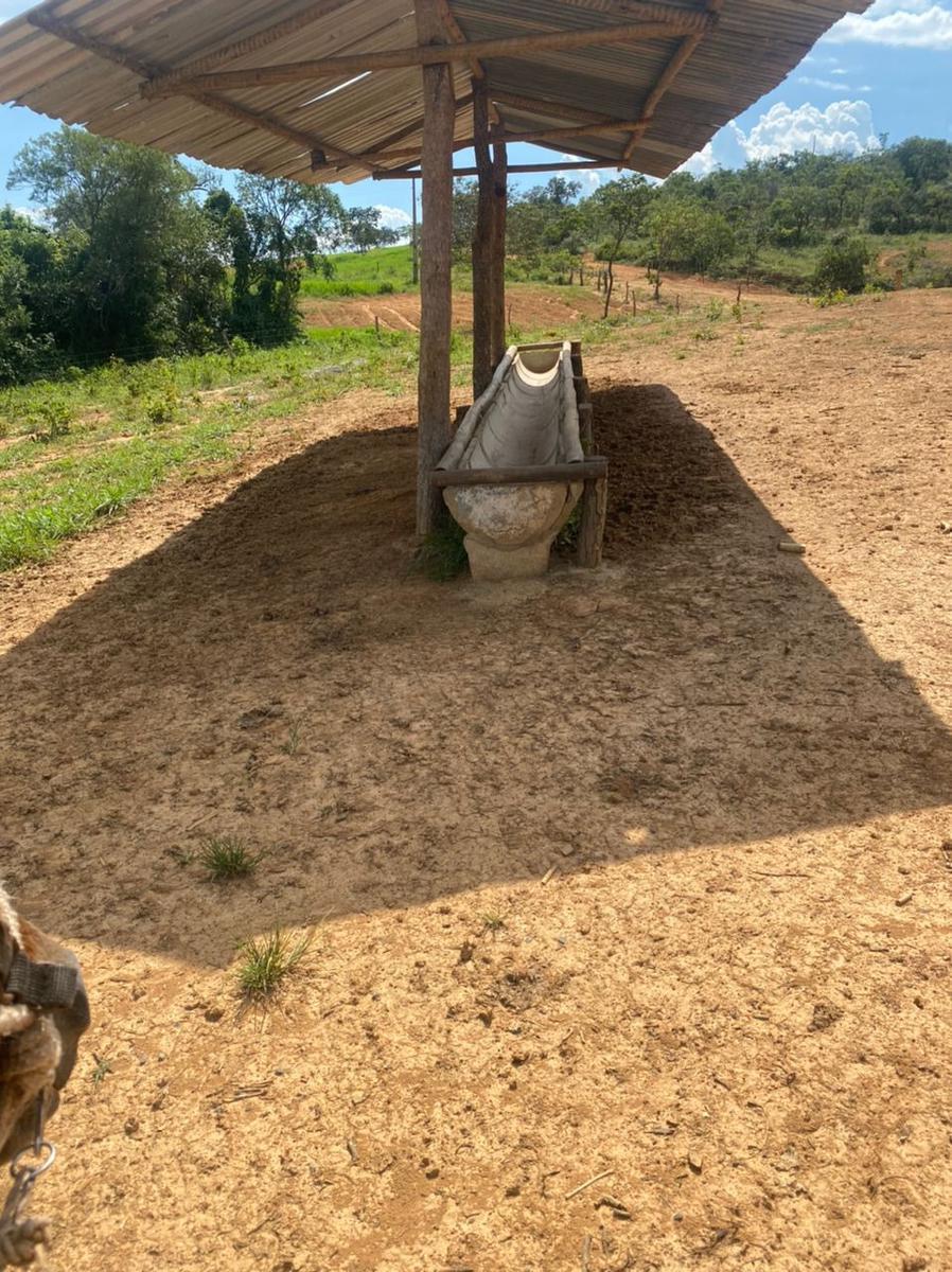 Fazenda, Centro, 4 Quartos, 2 Vagas