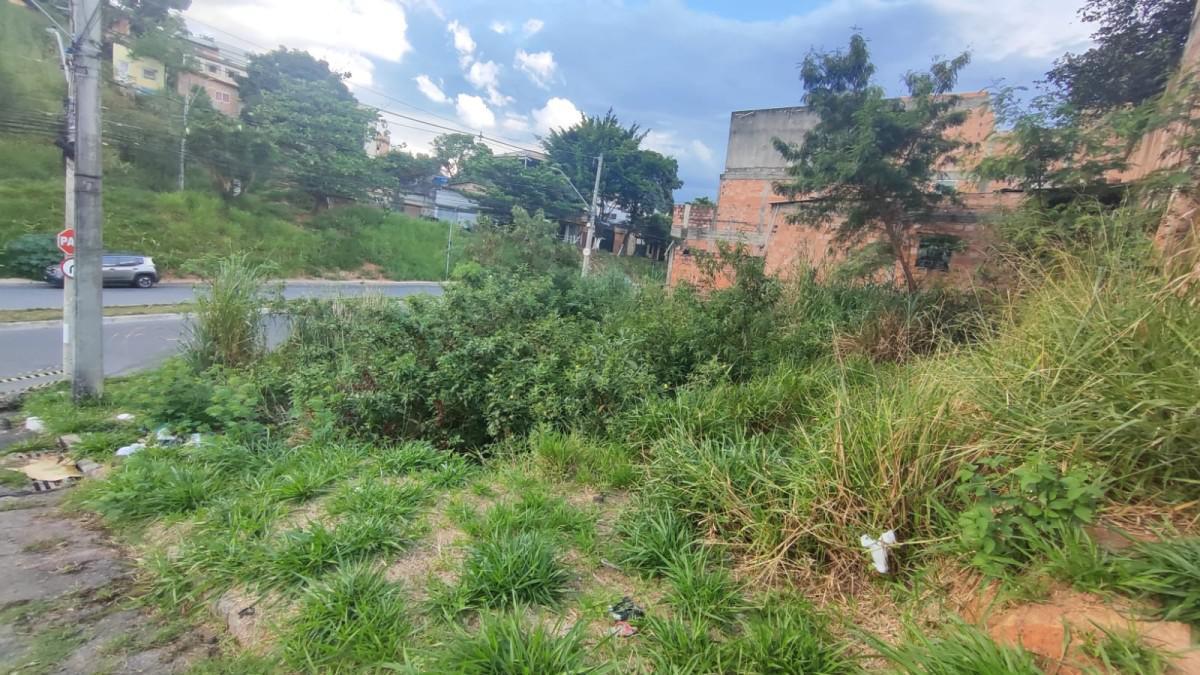 Lote, Morada Nova, 0 Quarto, 0 Vaga
