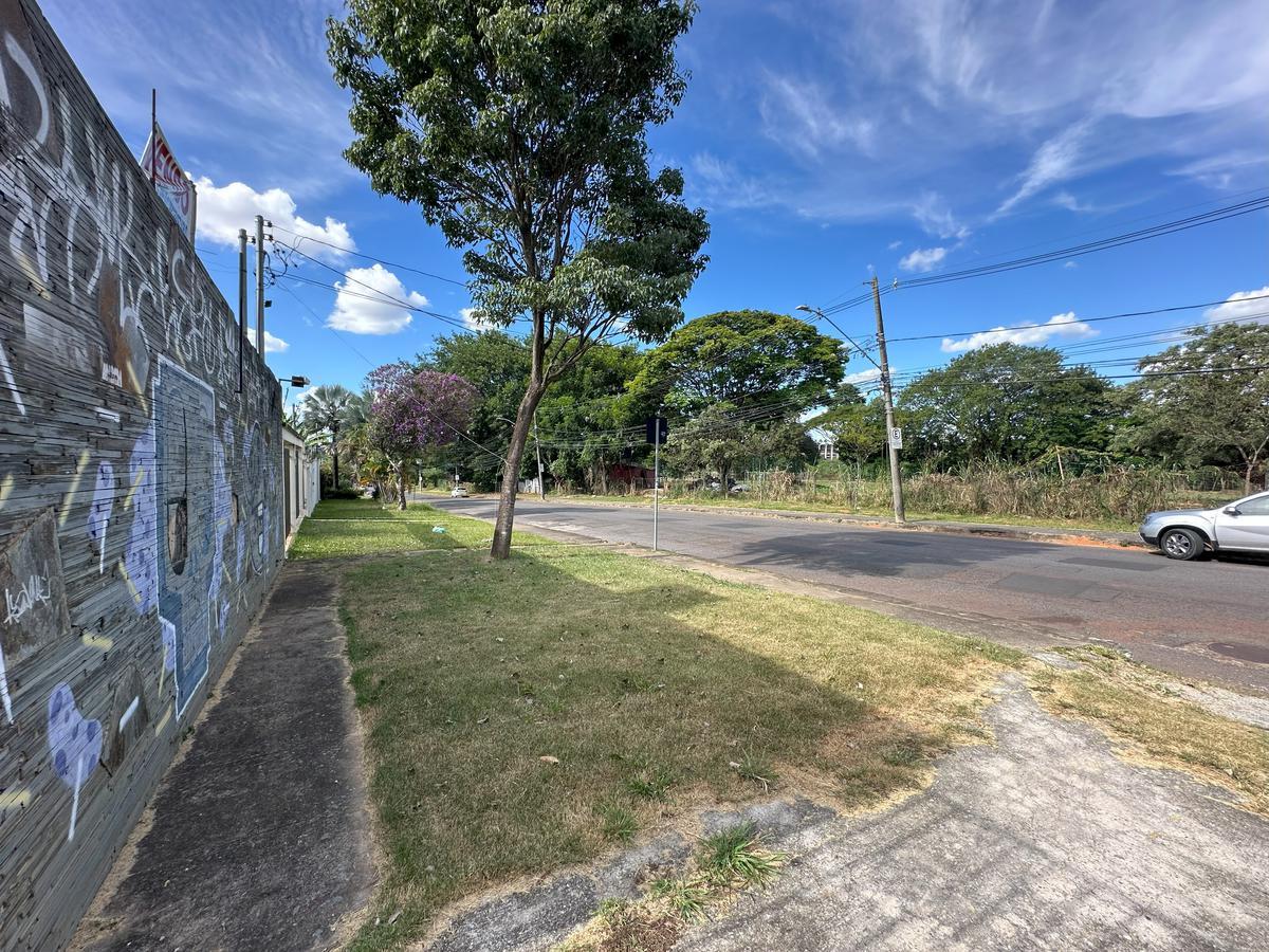 Lote, São Luiz (pampulha), 0 Quarto, 0 Vaga