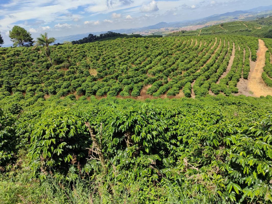 Fazenda, Zona Rural, 0 Quarto, 0 Vaga