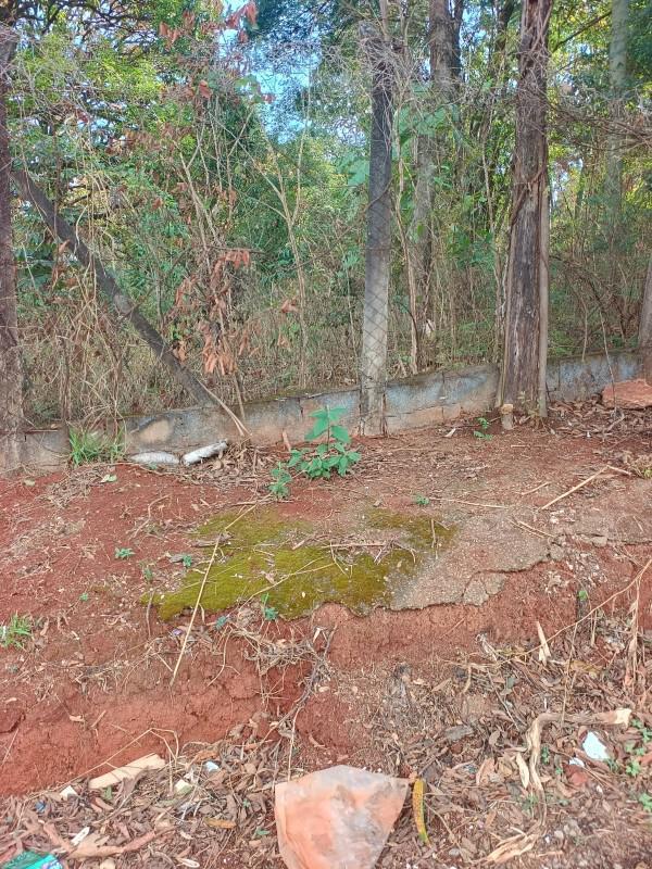 Lote, Chácara Novo Horizonte, 0 Quarto, 0 Vaga