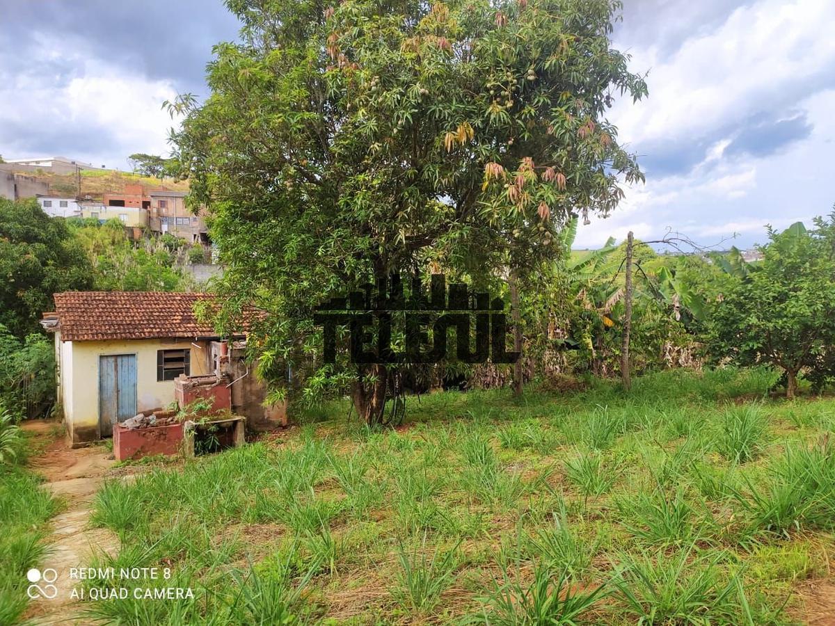 Lote, Conjunto Habitacional Sion, 0 Quarto, 0 Vaga