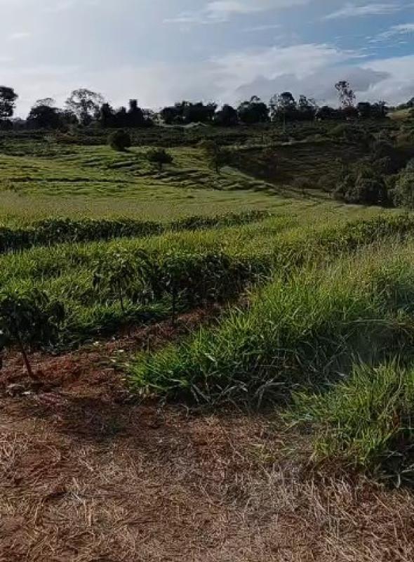 Fazenda, Zona Rural, 0 Quarto, 0 Vaga