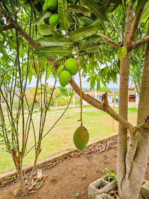 Fazenda, Tijuco, 4 Quartos, 4 Vagas, 4 Suítes