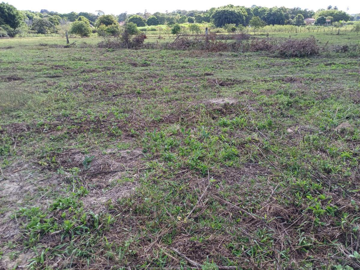 Fazenda, Centro, 3 Quartos, 10 Vagas