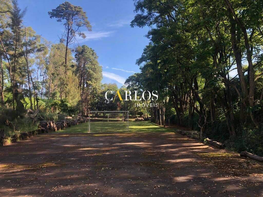 Lote, Alphaville
