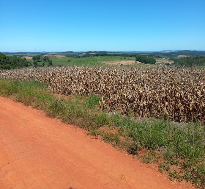 Fazenda, Centro, 3 Quartos, 0 Vaga