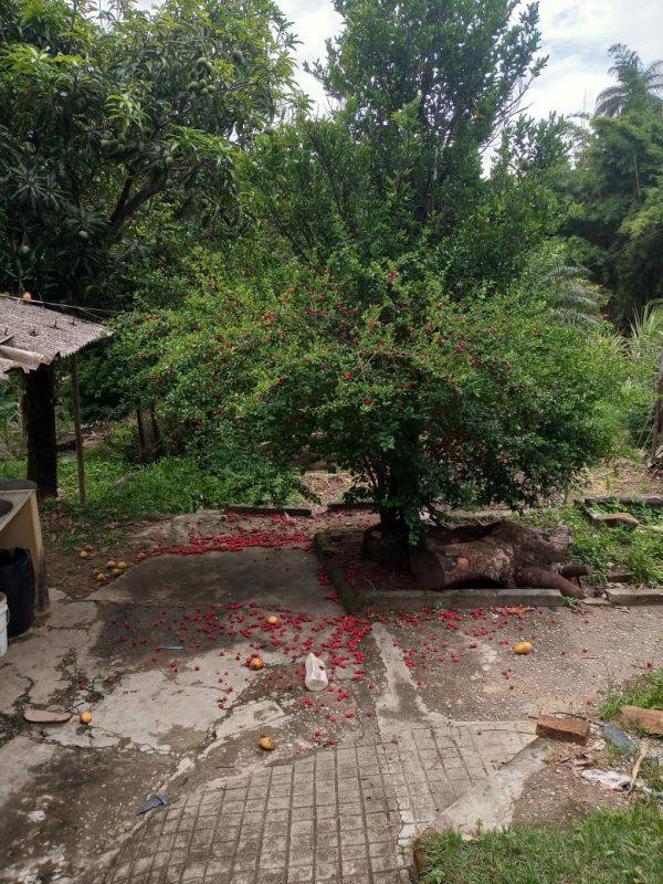 Fazenda, Jardim Rosario, 4 Quartos, 20 Vagas, 1 Suíte