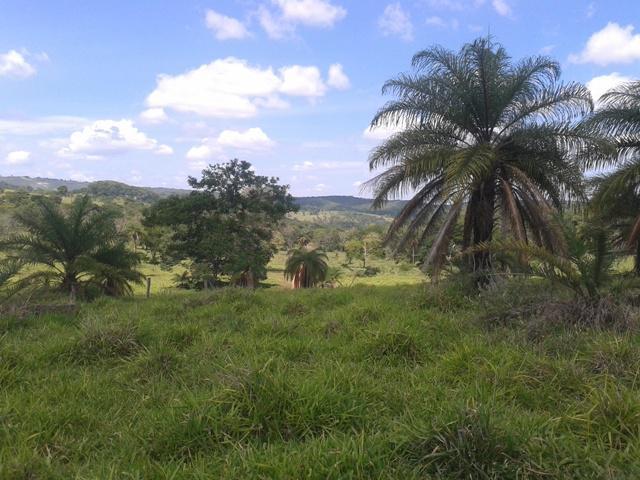 Lote, Sobradinho