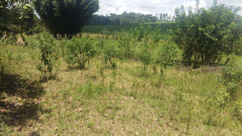 Fazenda, Guedes, 0 Quarto, 0 Vaga