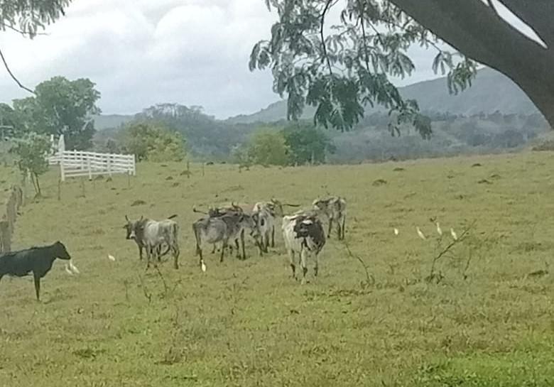 Fazenda, Urucuia, 3 Quartos, 0 Vaga, 1 Suíte