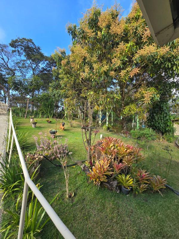 Fazenda, Gentileza, 4 Quartos, 10 Vagas, 1 Suíte