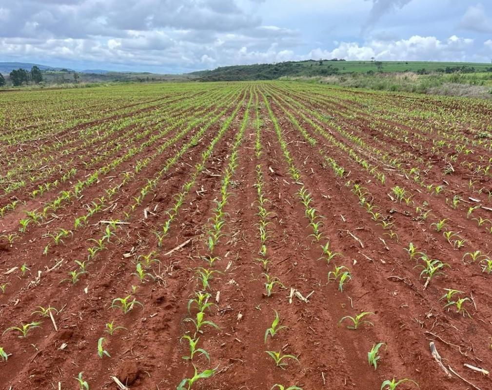 Fazenda, Zona Rural, 0 Quarto, 0 Vaga
