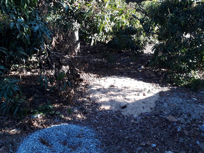 Lote, Centro, 0 Quarto, 0 Vaga