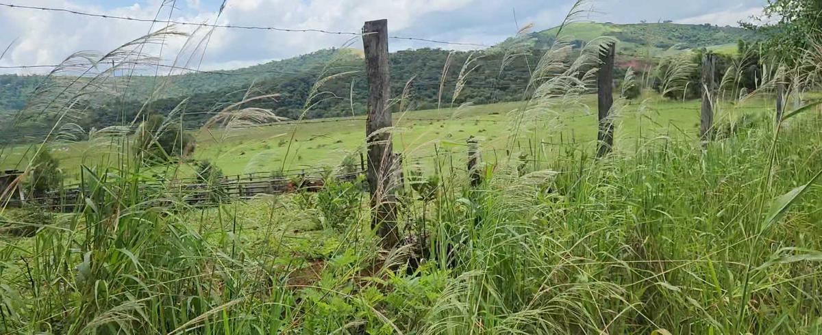 Lote, Zona Rural, 1 Quarto, 0 Vaga