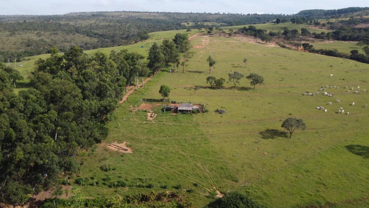 Lote, Centro, 3 Quartos, 0 Vaga