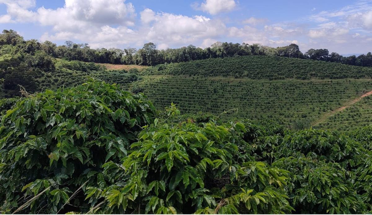 Fazenda, Zona Rural, 0 Quarto, 0 Vaga